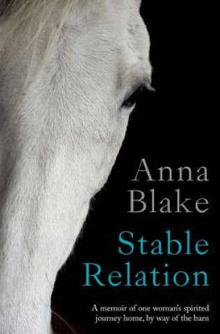 Buch Stable Relation Anna M Blake