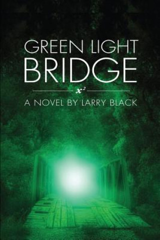 Buch Green Light Bridge Professor Larry Black