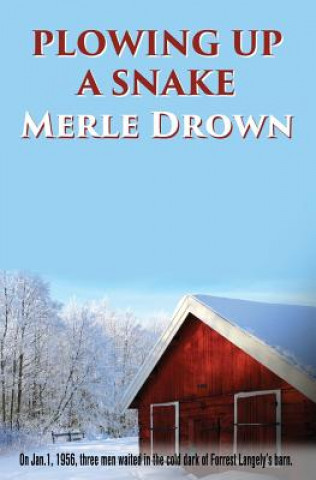 Kniha Plowing Up A Snake Merle Drown