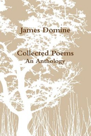 Książka Collected Poems James Domine