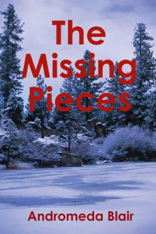 Knjiga Missing Pieces Andromeda Blair