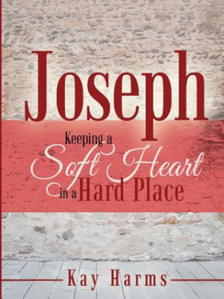 Carte Joseph - Keeping a Soft Heart in a Hard Place Kay Harms