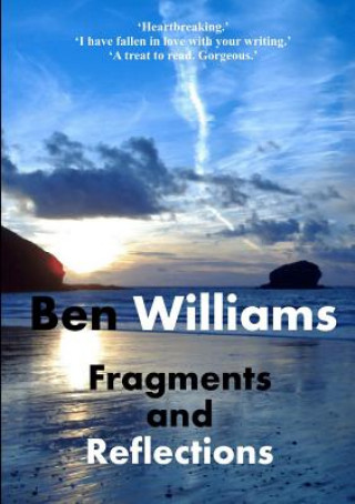 Carte Fragments and Reflections Ben Williams