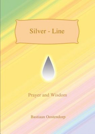Boek Silver Line Bastiaan Oostendorp
