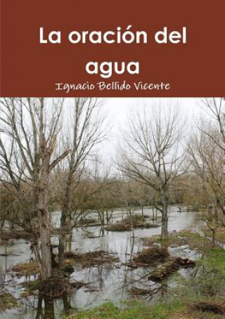 Könyv Oracion Del Agua Ignacio Bellido Vicente