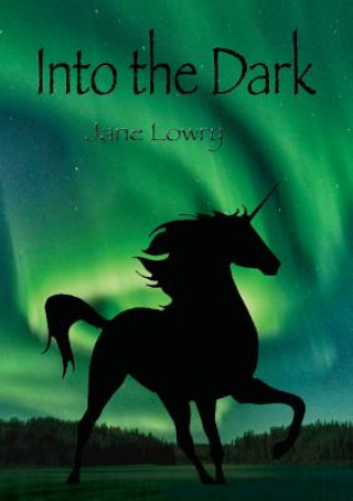 Carte Into the Dark Jane Lowry