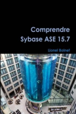 Książka Comprendre Sybase Ase 15.7 Lionel Bolnet