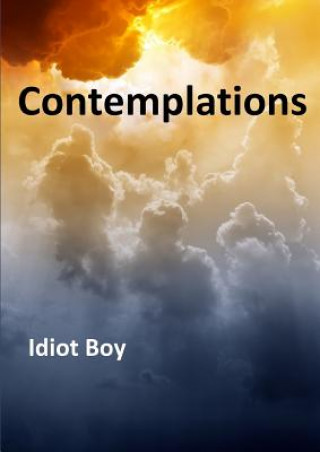 Knjiga Contemplations Idiot Boy