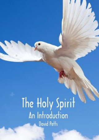 Book Holy Spirit, an Introduction David Petts