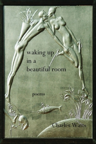 Книга Waking Up in a Beautiful Room Charles Watts