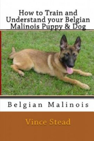 Könyv How to Train and Understand Your Belgian Malinois Puppy & Dog Vince Stead