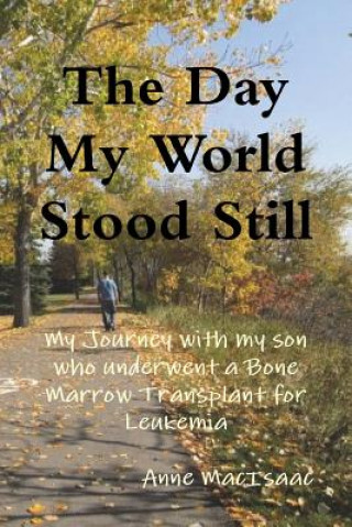 Книга Day My World Stood Still Anne MacIsaac