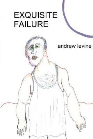 Knjiga Exquisite Failure Andrew T. Levine