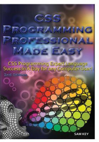 Book CSS Programming Professional Made Easy Sam Key