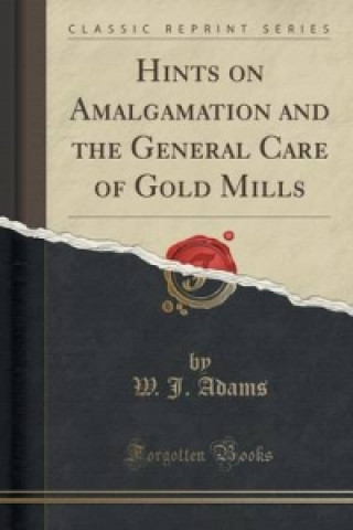 Kniha Hints on Amalgamation and the General Care of Gold Mills (Classic Reprint) W J Adams