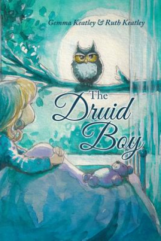 Buch Druid Boy Ruth Keatley