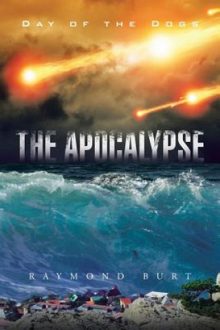 Book Apocalypse Raymond Burt