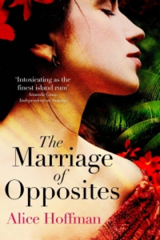 Buch Marriage of Opposites Alice Hoffman