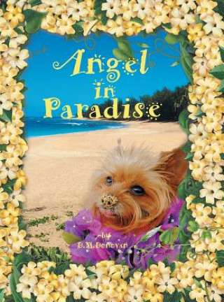 Könyv Angel in Paradise D M Donovan