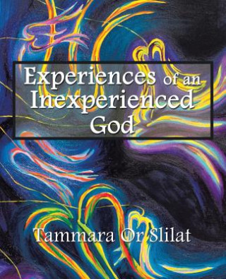 Knjiga Experiences of an Inexperienced God Tammara Or Slilat