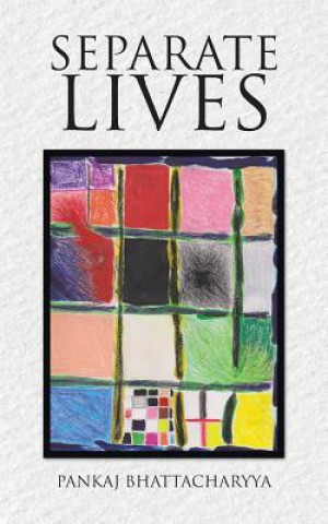 Boek Separate Lives Pankaj Bhattacharyya