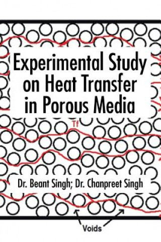 Könyv Experimental Study on Heat Transfer in Porous Media Dr Beant Singh