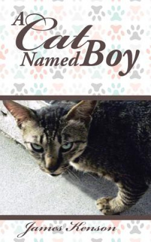 Knjiga Cat Named Boy James Kenson