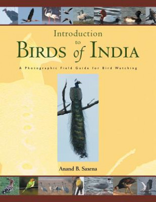Книга Birds of India ANAND