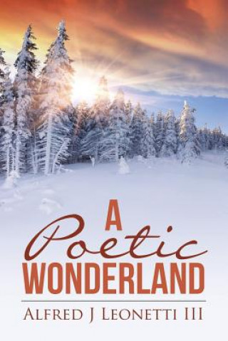 Kniha Poetic Wonderland Alfred J Leonetti III