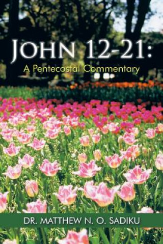 Könyv John 12-21 Dr Matthew N O Sadiku
