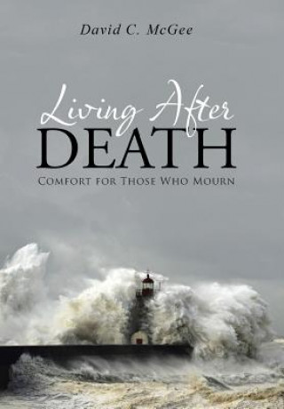 Book Living After Death David C McGee