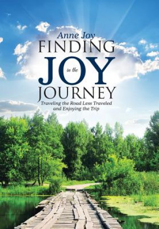 Kniha Finding JOY in the JOurneY Anne Joy