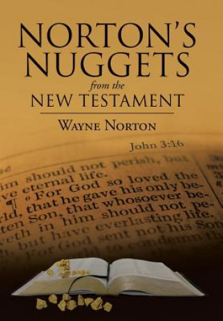 Livre Norton's Nuggets from the New Testament Wayne Norton