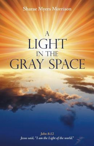 Книга Light in the Gray Space Sharae Myers Morrison