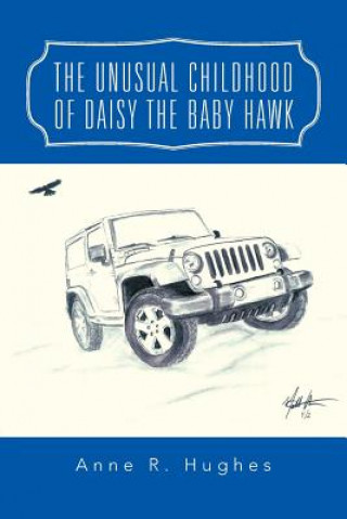 Kniha Unusual Childhood of Daisy the Baby Hawk Anne R Hughes