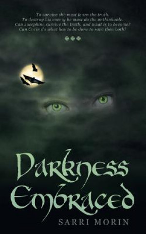 Book Darkness Embraced Sarri Morin