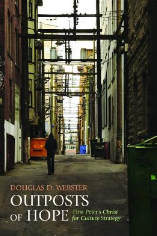 Книга Outposts of Hope Douglas D Webster