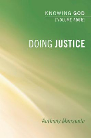 Buch Doing Justice: Knowing God, Volume 4 Anthony Mansueto