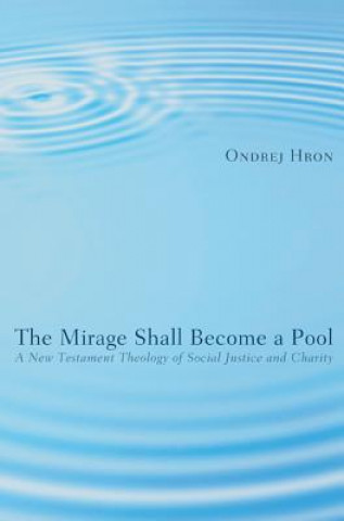 Kniha Mirage Shall Become a Pool Ondrej Hron