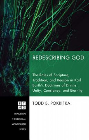 Knjiga Redescribing God Todd Pokrifka