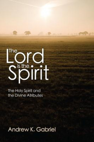 Книга Lord Is the Spirit Andrew K Gabriel