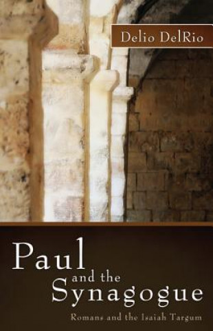 Kniha Paul and the Synagogue Delio Delrio