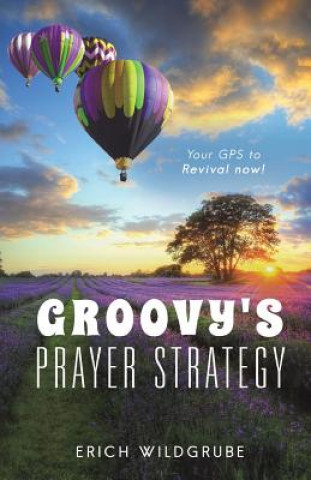 Book Groovy's Prayer Strategy Erich Wildgrube