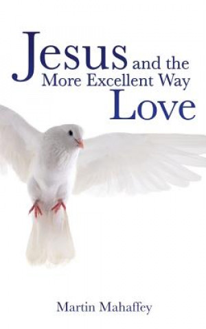 Kniha Jesus and the More Excellent Way Love Martin Mahaffey