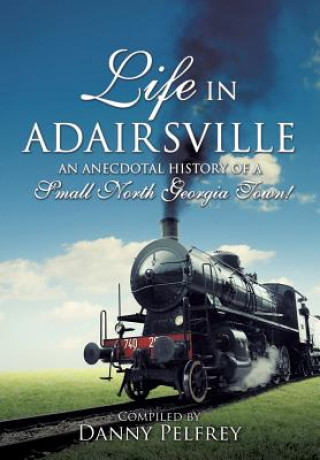 Livre Life in Adairsville Alice Butler (Topsy) Howard