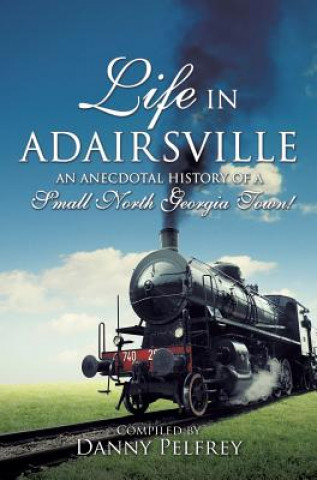 Livre Life in Adairsville Alice Butler (Topsy) Howard