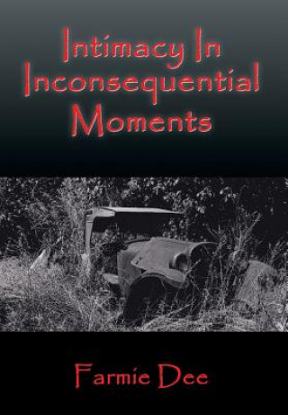 Kniha Intimacy In Inconsequential Moments Farmie Dee