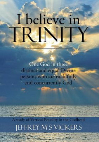 Libro I believe in Trinity JEFFREY M S VICKERS