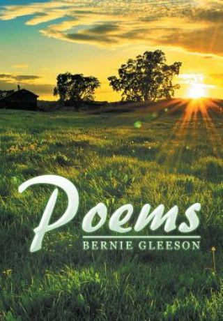 Buch Poems Bernie Gleeson