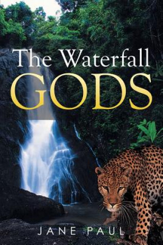 Kniha Waterfall Gods JANE PAUL